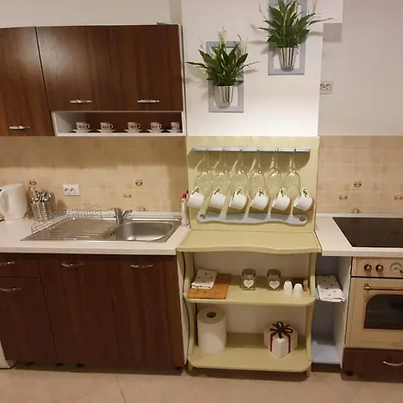 Apartment Bibliotheque Studio Brasov