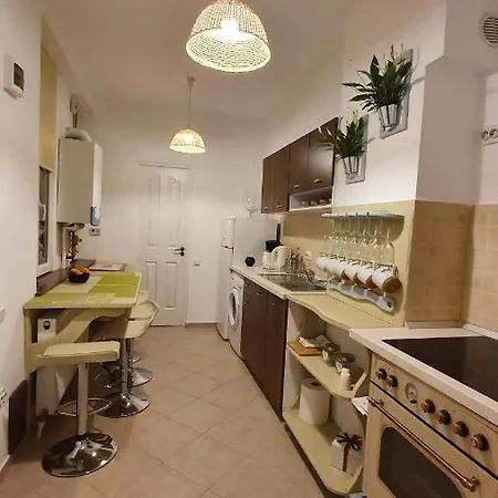 Bibliotheque Studio Apartment Brasov
