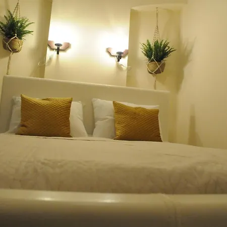 Apartment Bibliotheque Studio Brasov