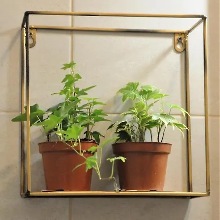 Apartament Bibliotheque Studio